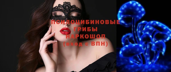 прущие крисы Армянск