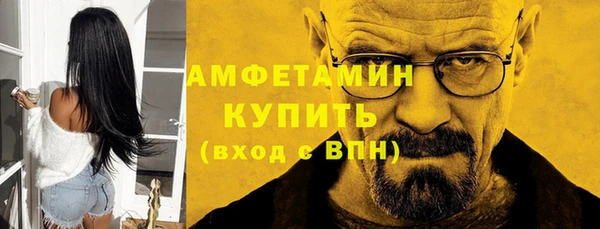 гидра Аркадак