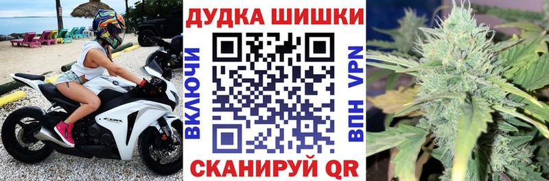 где купить наркоту  Пятигорск  МАРИХУАНА OG Kush 